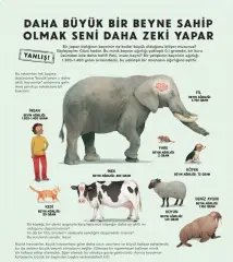 Vücudumuz Hakkında Bildiklerimiz DOĞRU MU?