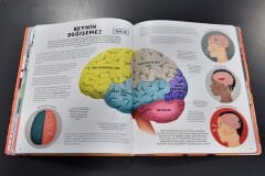 Vücudumuz Hakkında Bildiklerimiz DOĞRU MU?